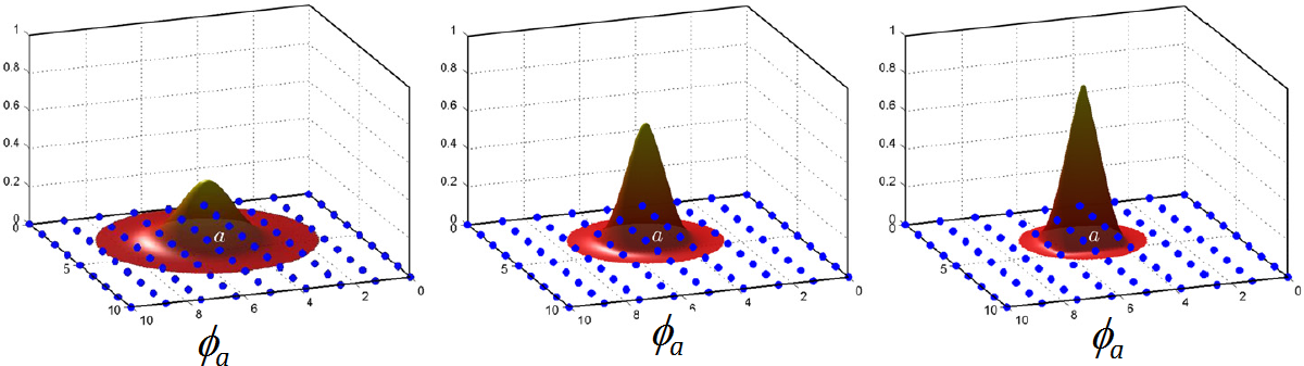 Maxent basis functions